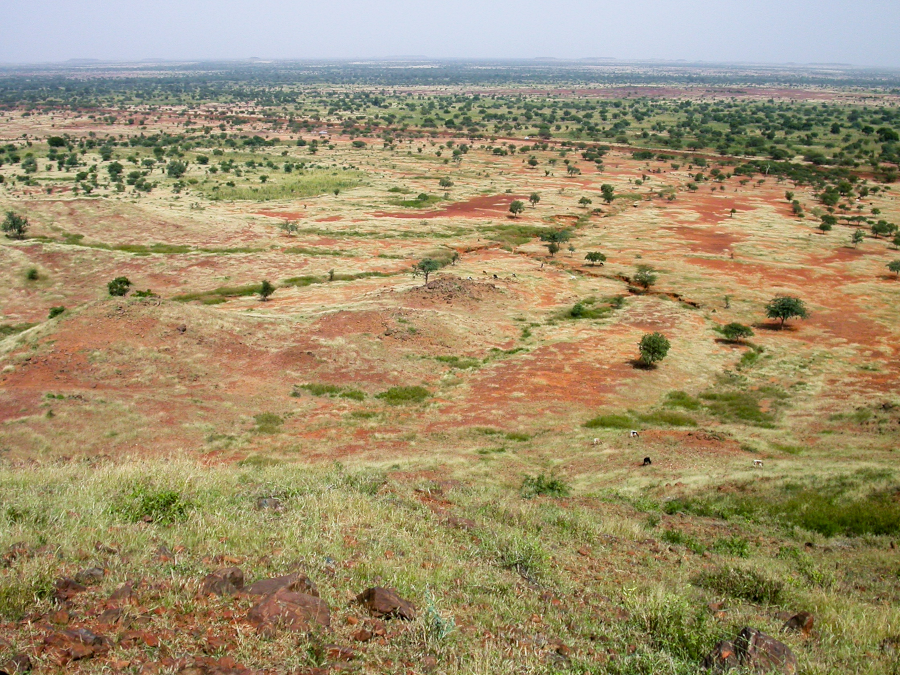Picture: Sahel landscape. Photo by Daniel Tiveau/CIFOR. Source: https://www.cifor-icraf.org/knowledge/photo/36569506061/